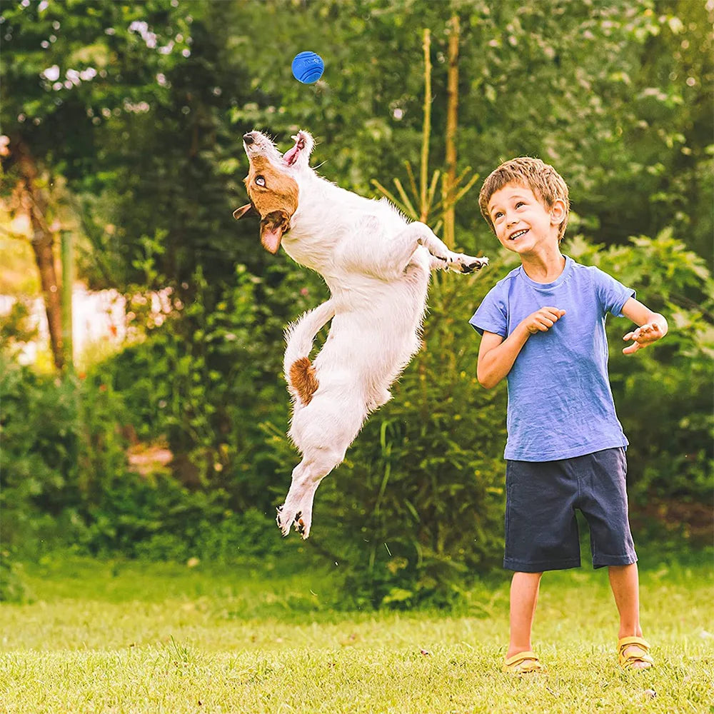 🐶 Bola de Borracha Petnoma – Brinquedo Resistente para Cães