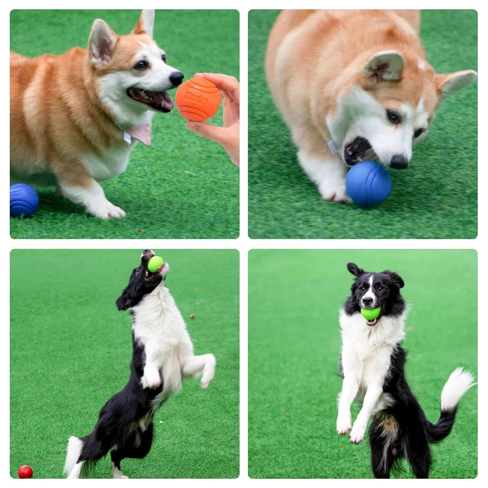 🐶 Bola de Borracha Petnoma – Brinquedo Resistente para Cães