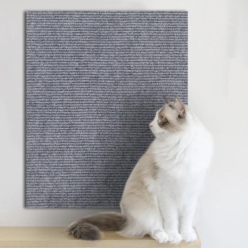 🐱 Arranhador Adesivo Petnoma – Proteção para Sofá e Móveis