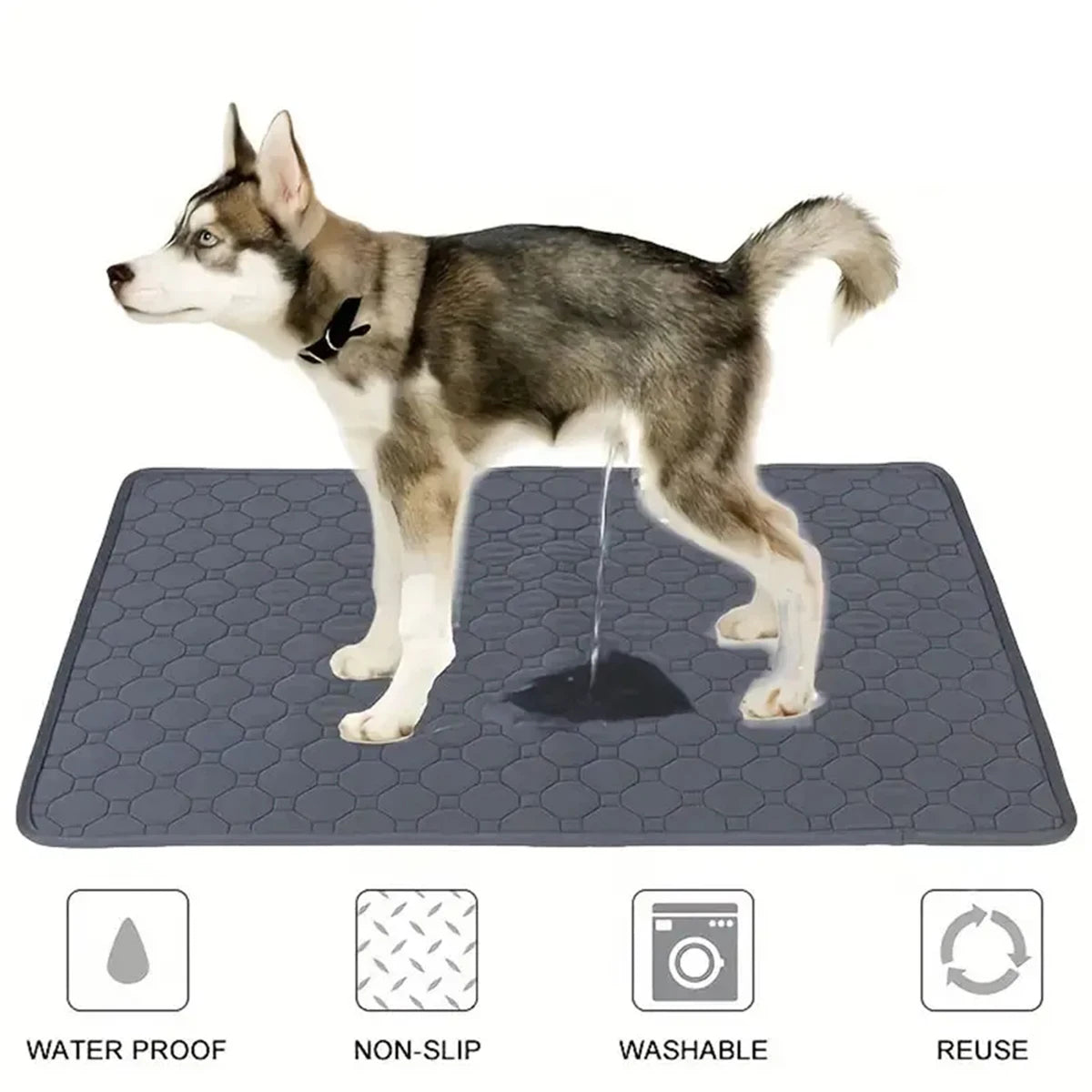 🐾Tapete Higiênico Petnoma – Reutilizável para Cães