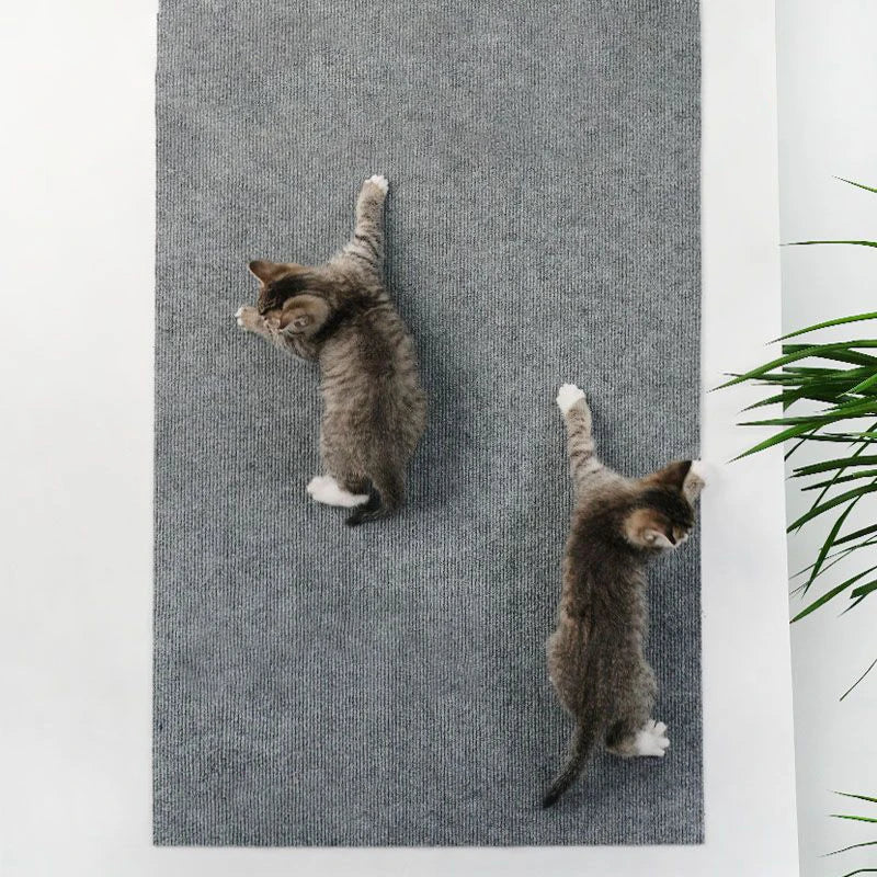 🐱 Arranhador Adesivo Petnoma – Proteção para Sofá e Móveis