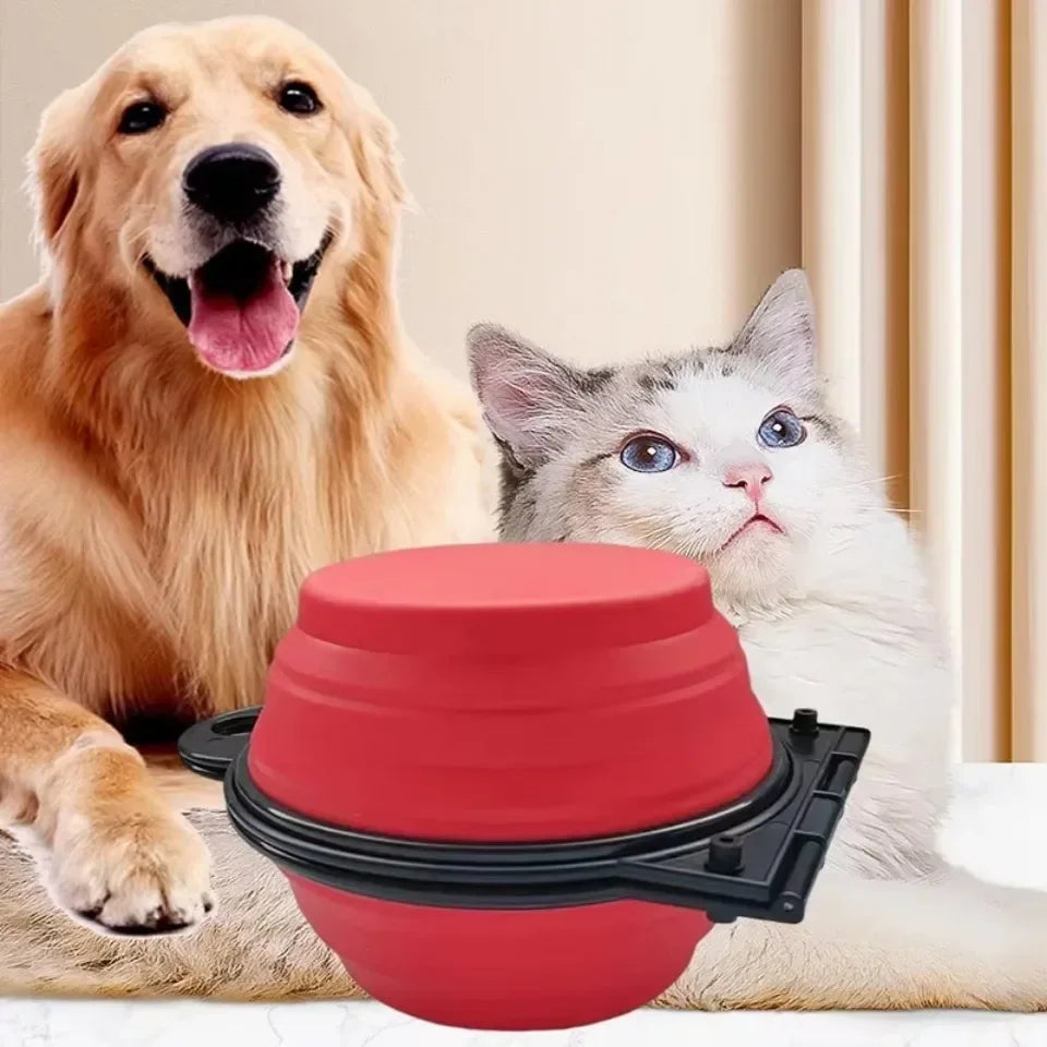 🐾 Tigela 2 em 1 Petnoma – Dobrável e Portátil para Cães e Gatos